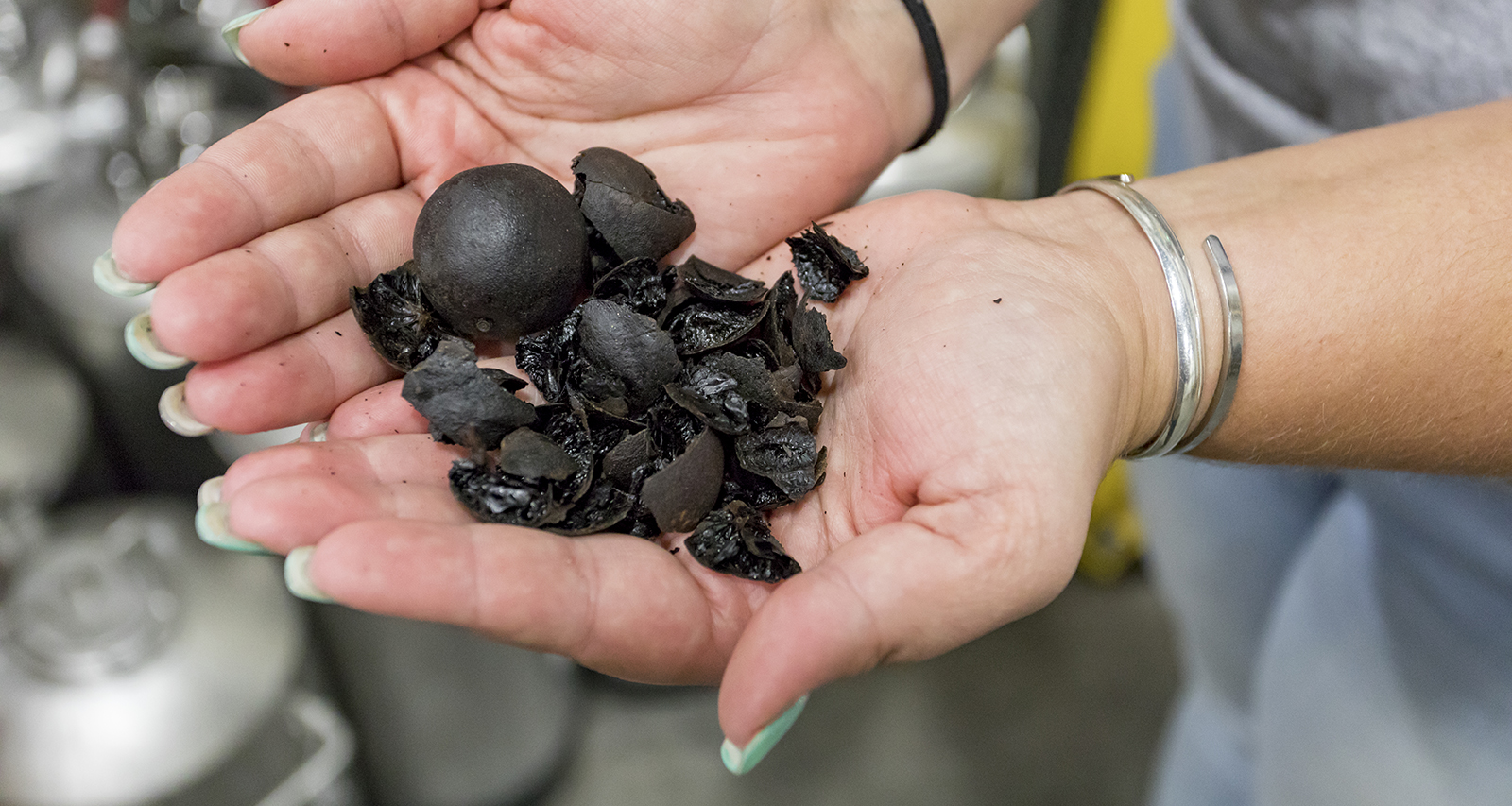 Dogfish Head breweries black limes, shown as a close-up held to the camera.